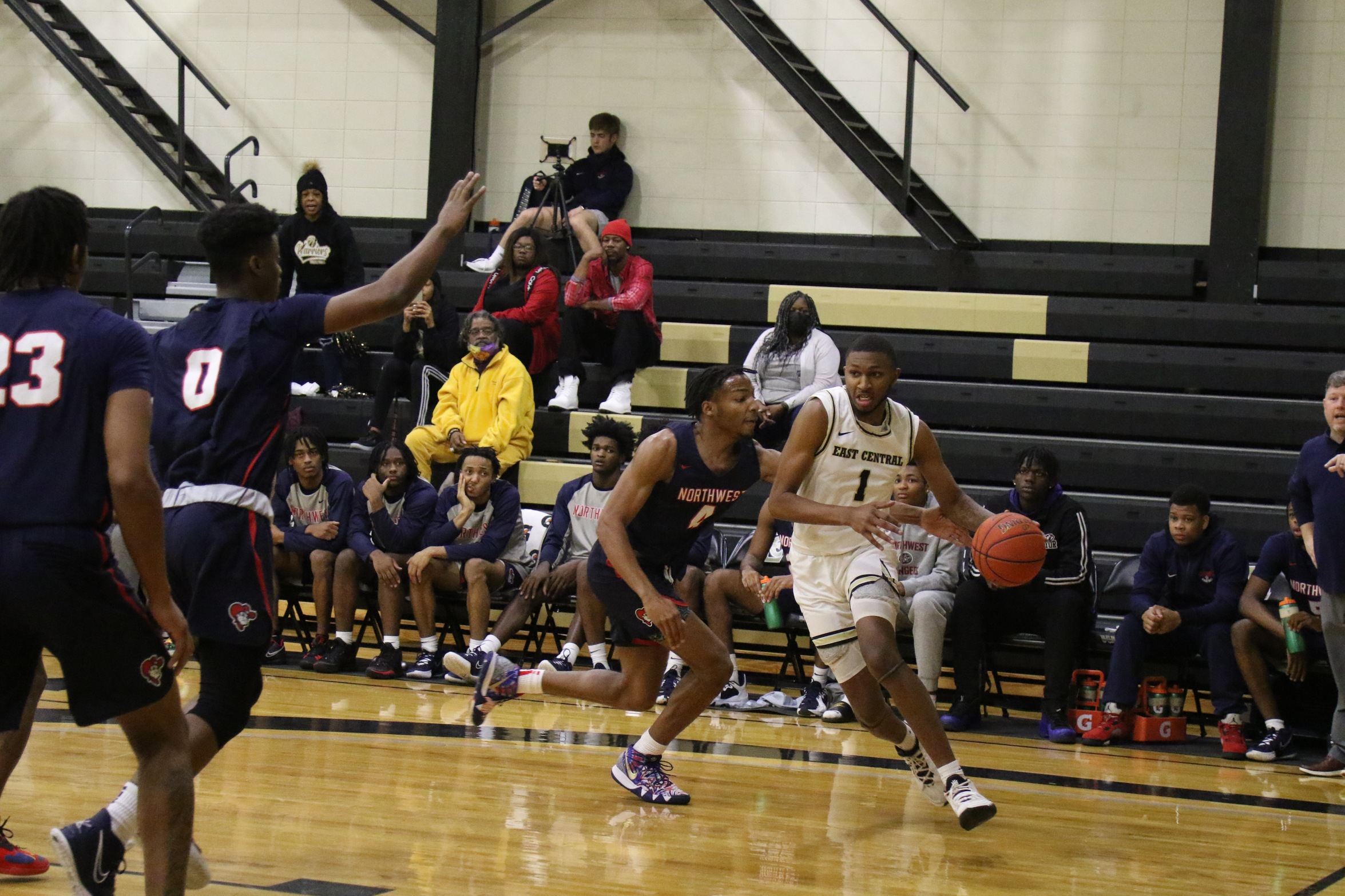 Warriors Fall to No. 20 Lions, 74-65