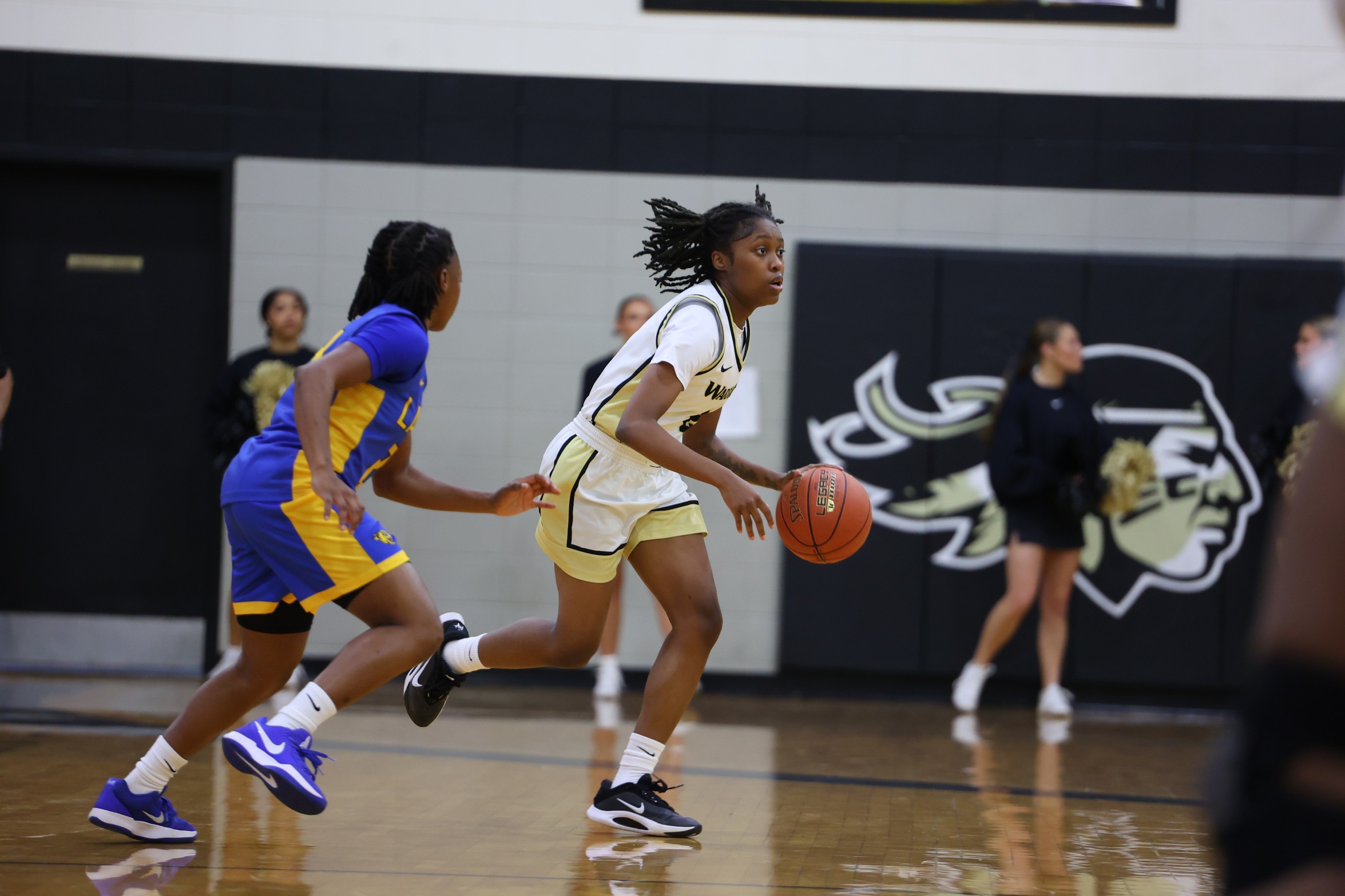 Lady Warriors Fall at Pearl River, 53-40