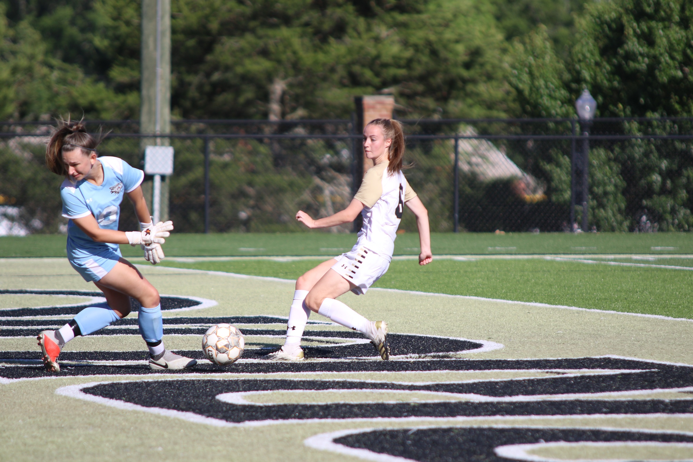 ECCC blanks Co-Lin; turns attention to Holmes